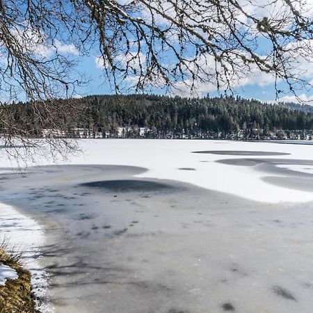 Ferienwohnung Am Schwellenweiher Feldberg  Luaran gambar