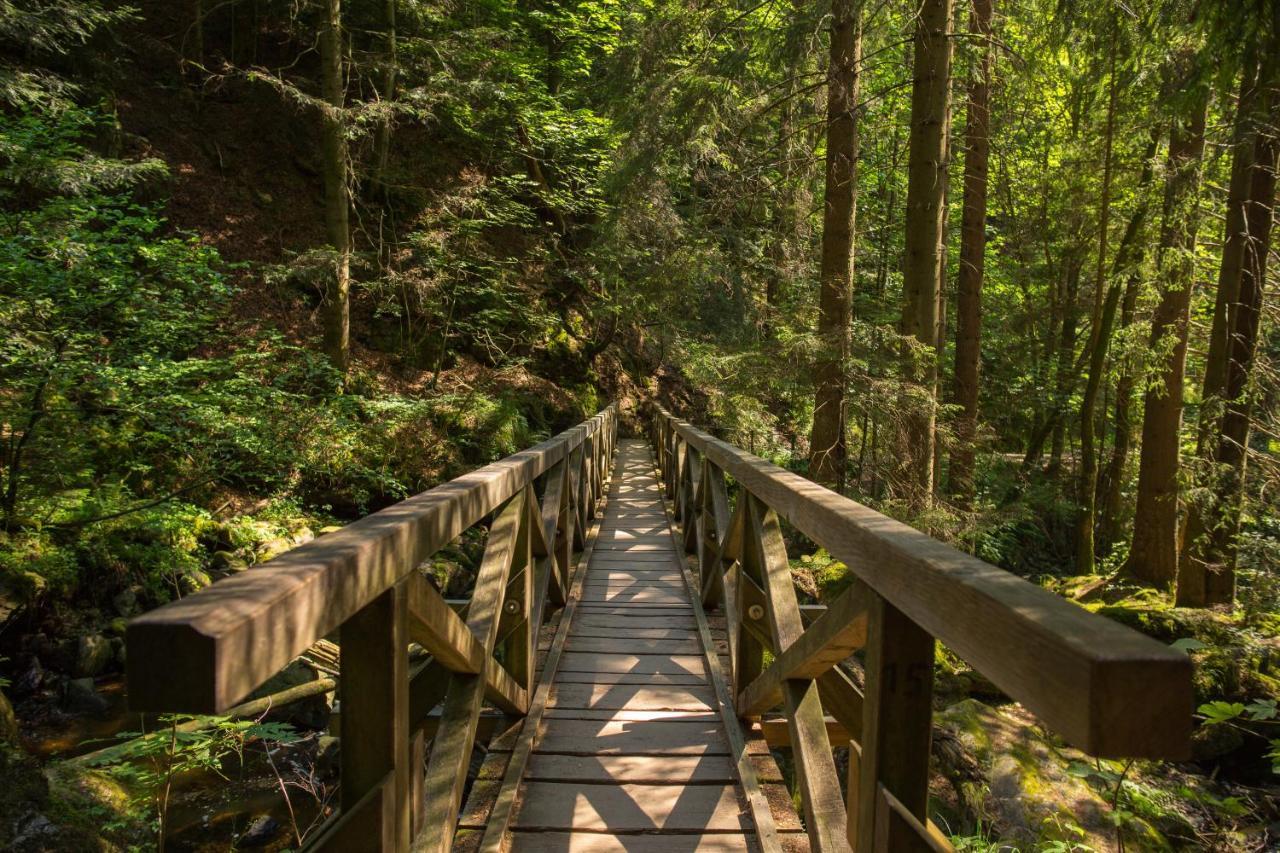 Ferienwohnung Am Schwellenweiher Feldberg  Luaran gambar