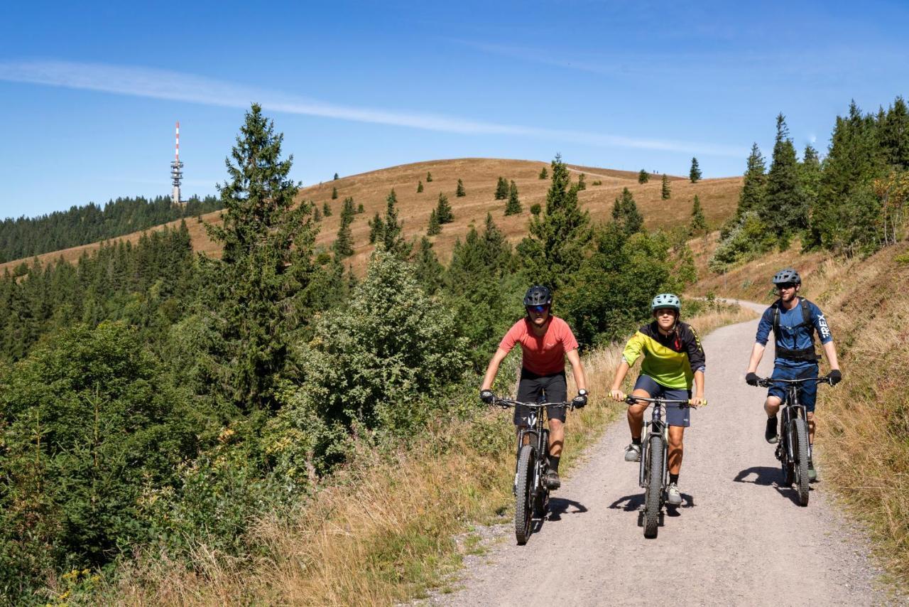 Ferienwohnung Am Schwellenweiher Feldberg  Luaran gambar