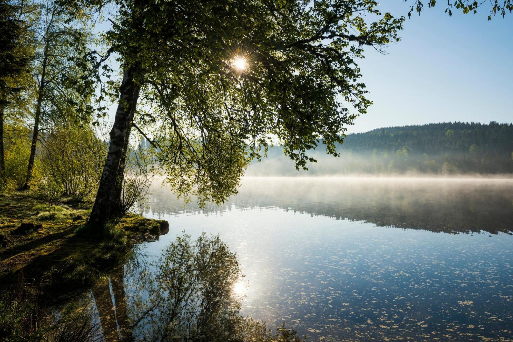 Ferienwohnung Am Schwellenweiher Feldberg  Luaran gambar