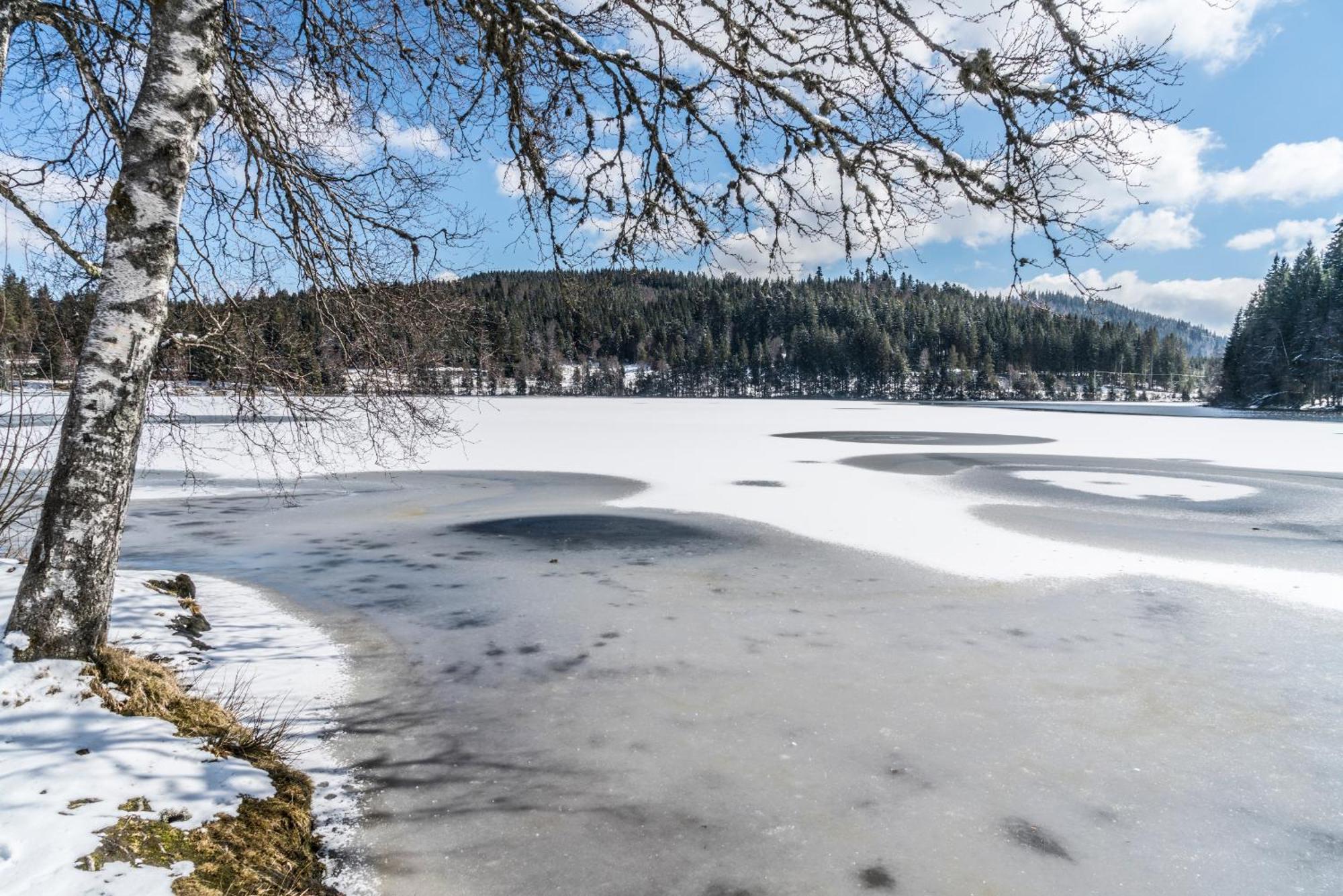 Ferienwohnung Am Schwellenweiher Feldberg  Luaran gambar