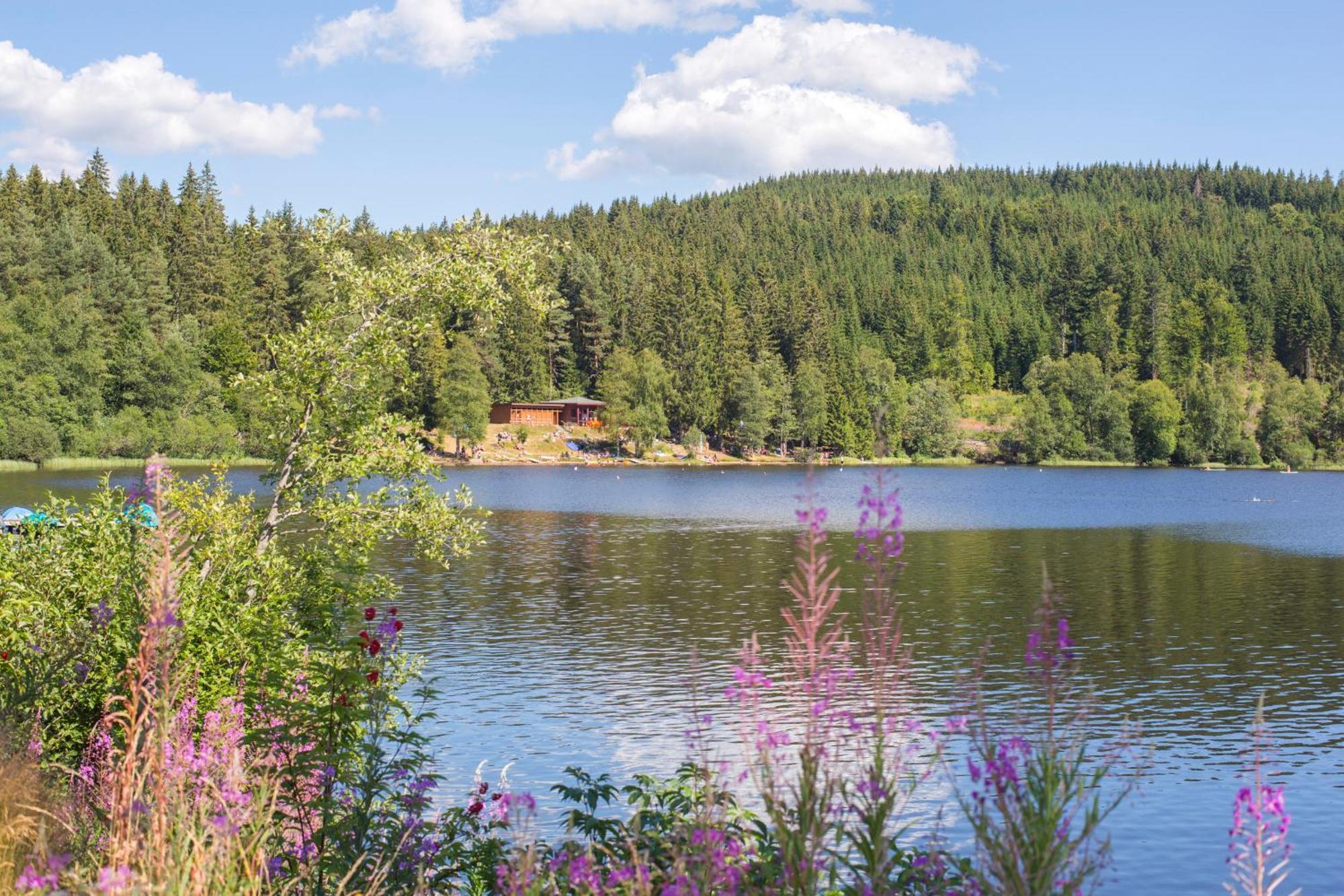 Ferienwohnung Am Schwellenweiher Feldberg  Luaran gambar