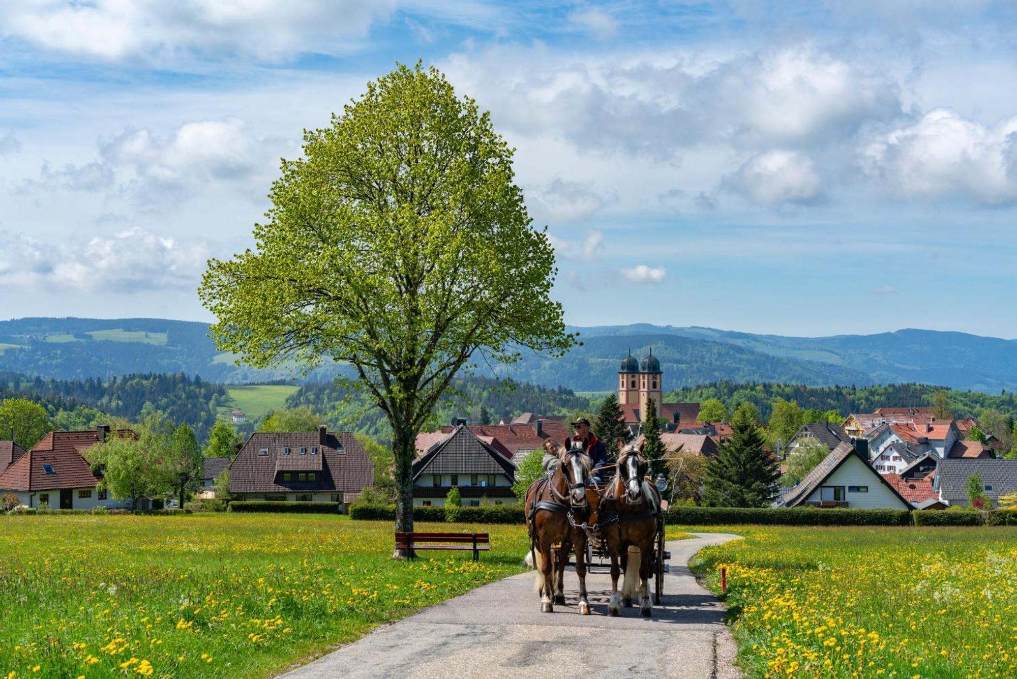 Ferienwohnung Am Schwellenweiher Feldberg  Luaran gambar